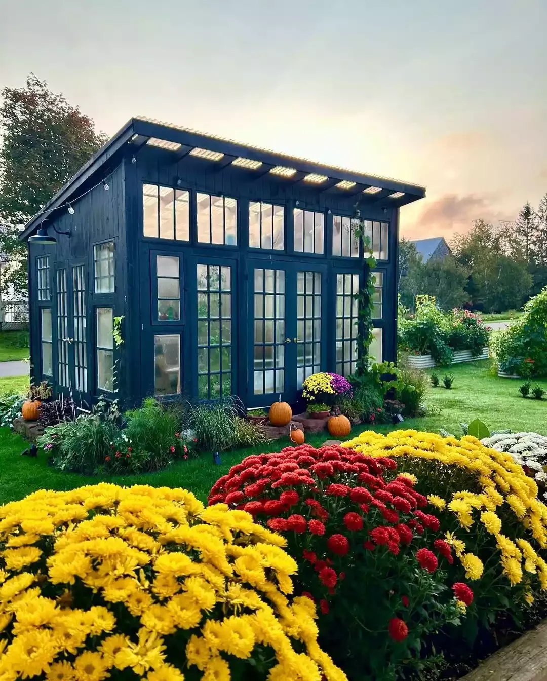 Celebrate Fall With Pumpkins and Mums
