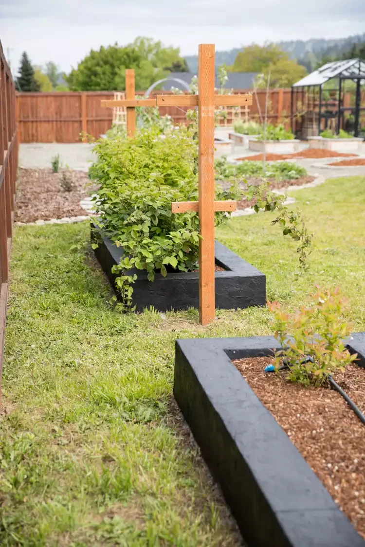 35 Creative DIY Garden Projects to Transform Your Outdoor Space Cement Garden Beds