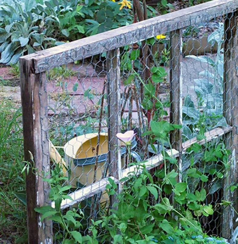 Chicken Wire Window Frame Trellis