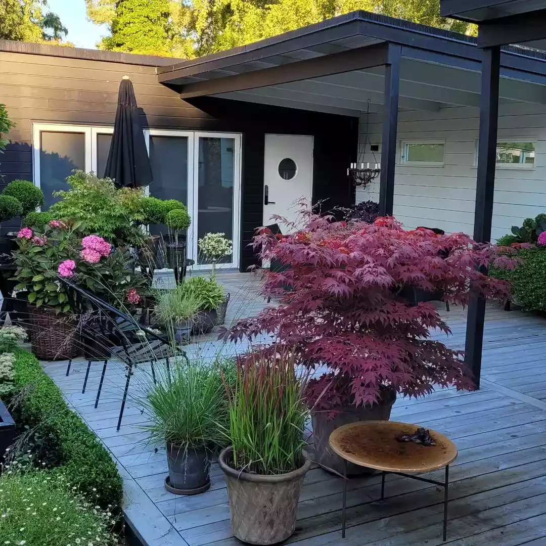23 Stunning Patio Garden Designs to Transform Your Outdoor Space Choose Colorful Foliage Plants
