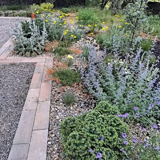 13 Effortless Garden Border Ideas That'll Transform Your Outdoor Space Choose Drought-Tolerant Border Plants