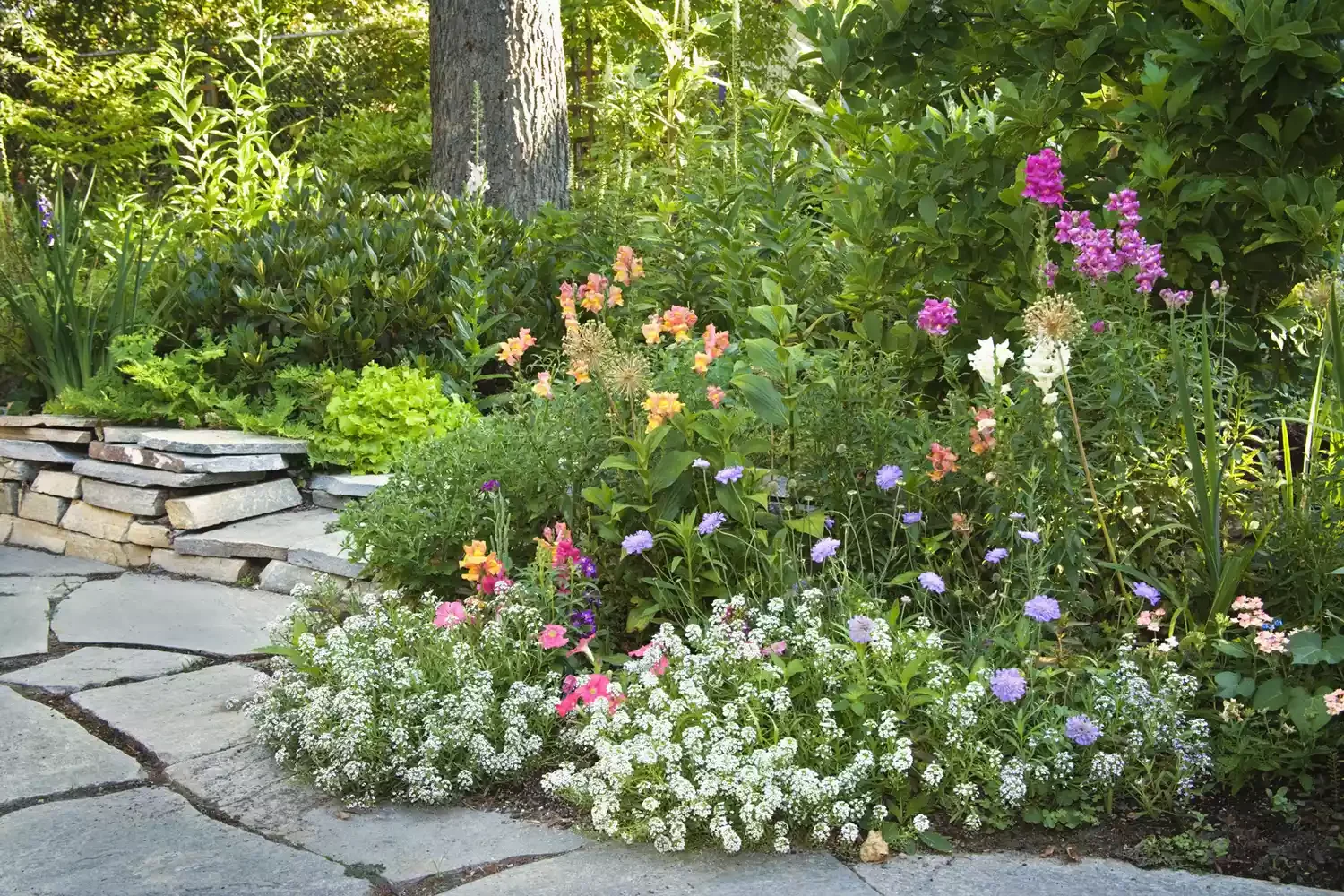 Choose Plants That Spill and Soften