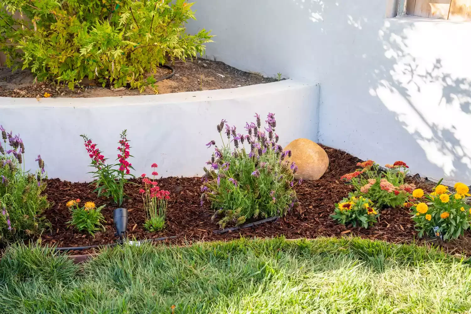 34 Stunning Front Yard Flower Bed Ideas That Will Transform Your Curb Appeal 20 Choose a Simple Color Palette
