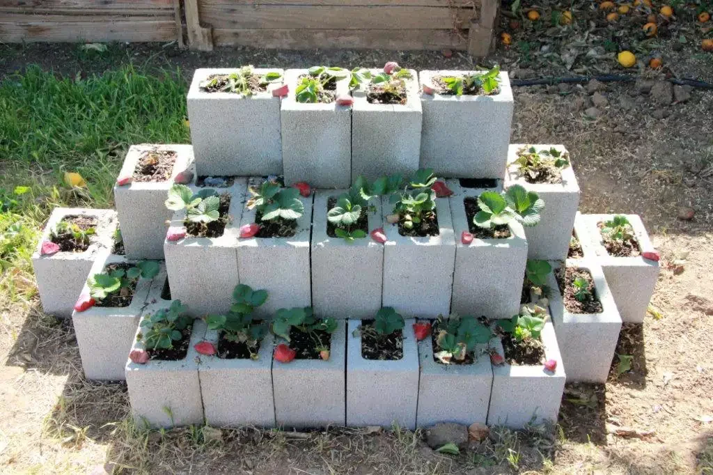 Cinder Block Strawberry Planter
