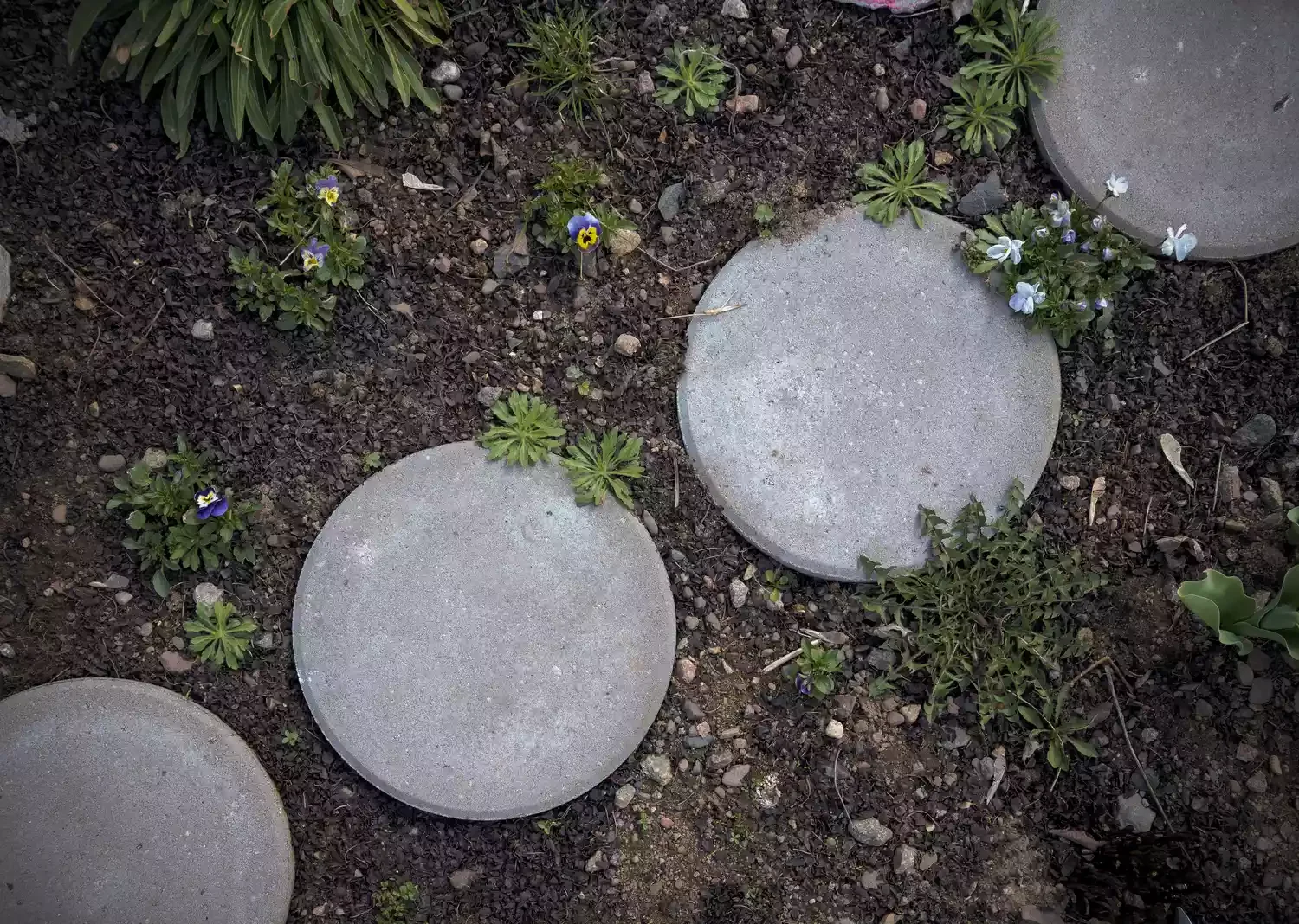 Circular Stone Path