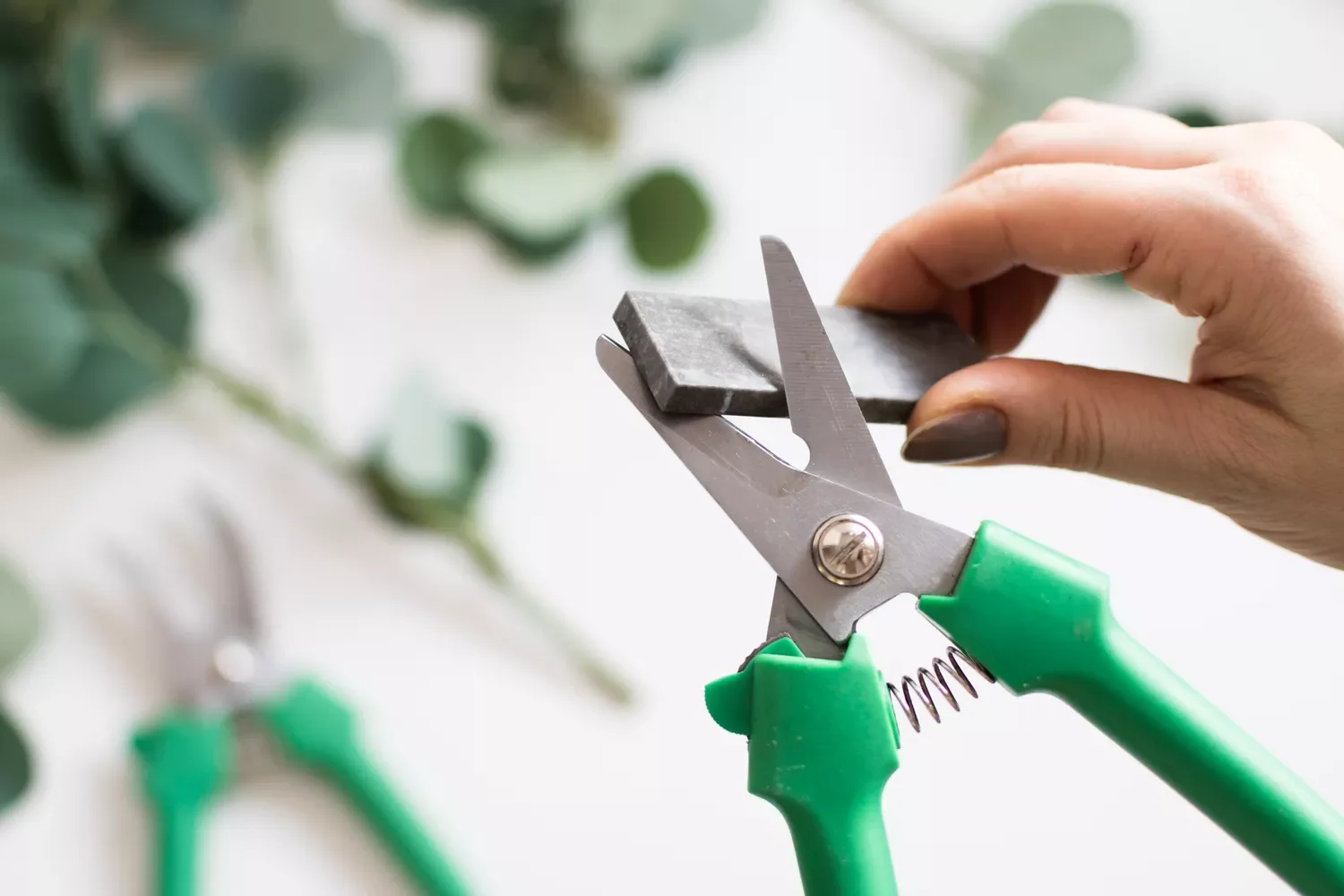 22 Cold-Season Garden Projects That Will Transform Your Outdoor Space This Winter 17 Clean Garden Tools