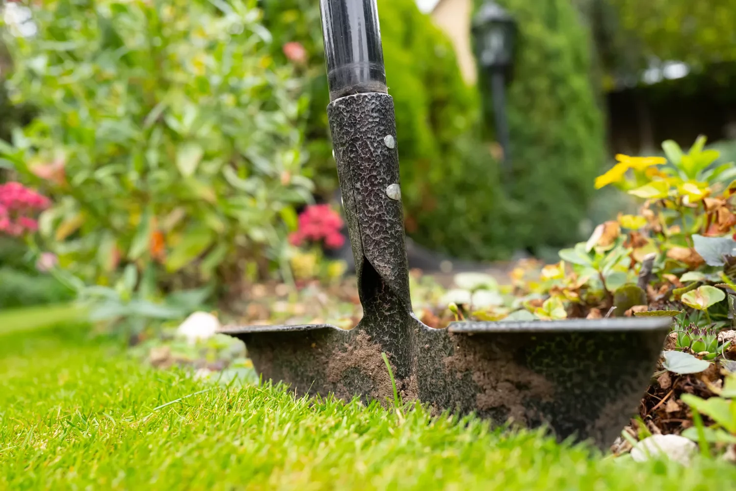 30 Affordable and Creative Ways to Define Your Garden Boundaries Clean Line Path
