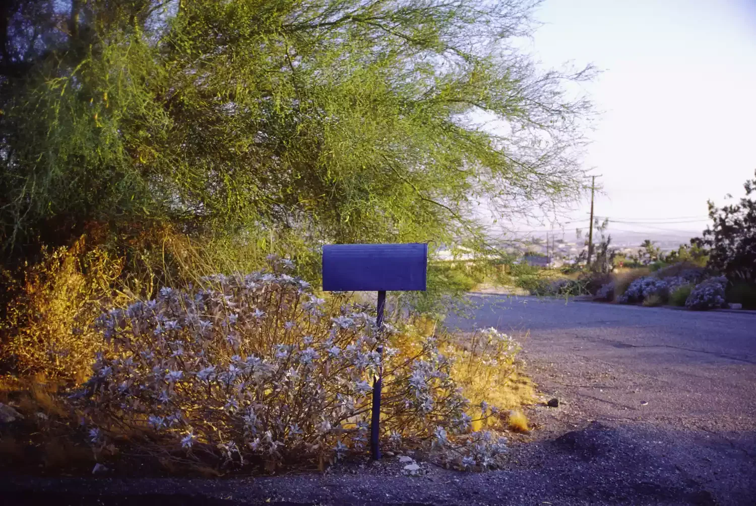 Cobalt Blue Mailbox Post
