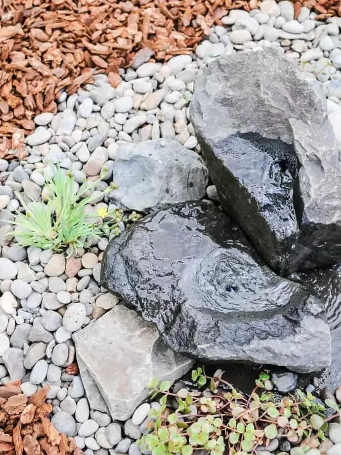 Collect Rocks
