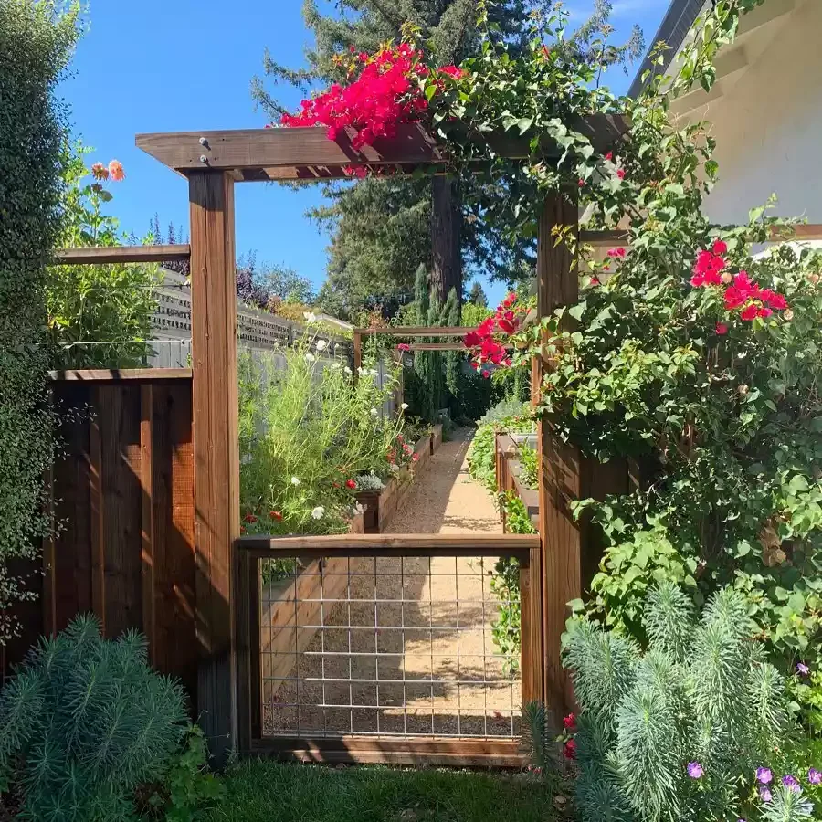 25 Creative Side Yard Transformations to Maximize Your Outdoor Space Colorful Blooms
