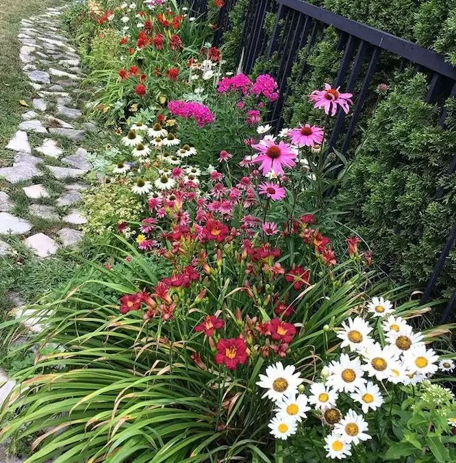 82 Stunning Front Yard Landscaping Ideas to Transform Your Home's Curb Appeal This Spring Colorful Perennial Border