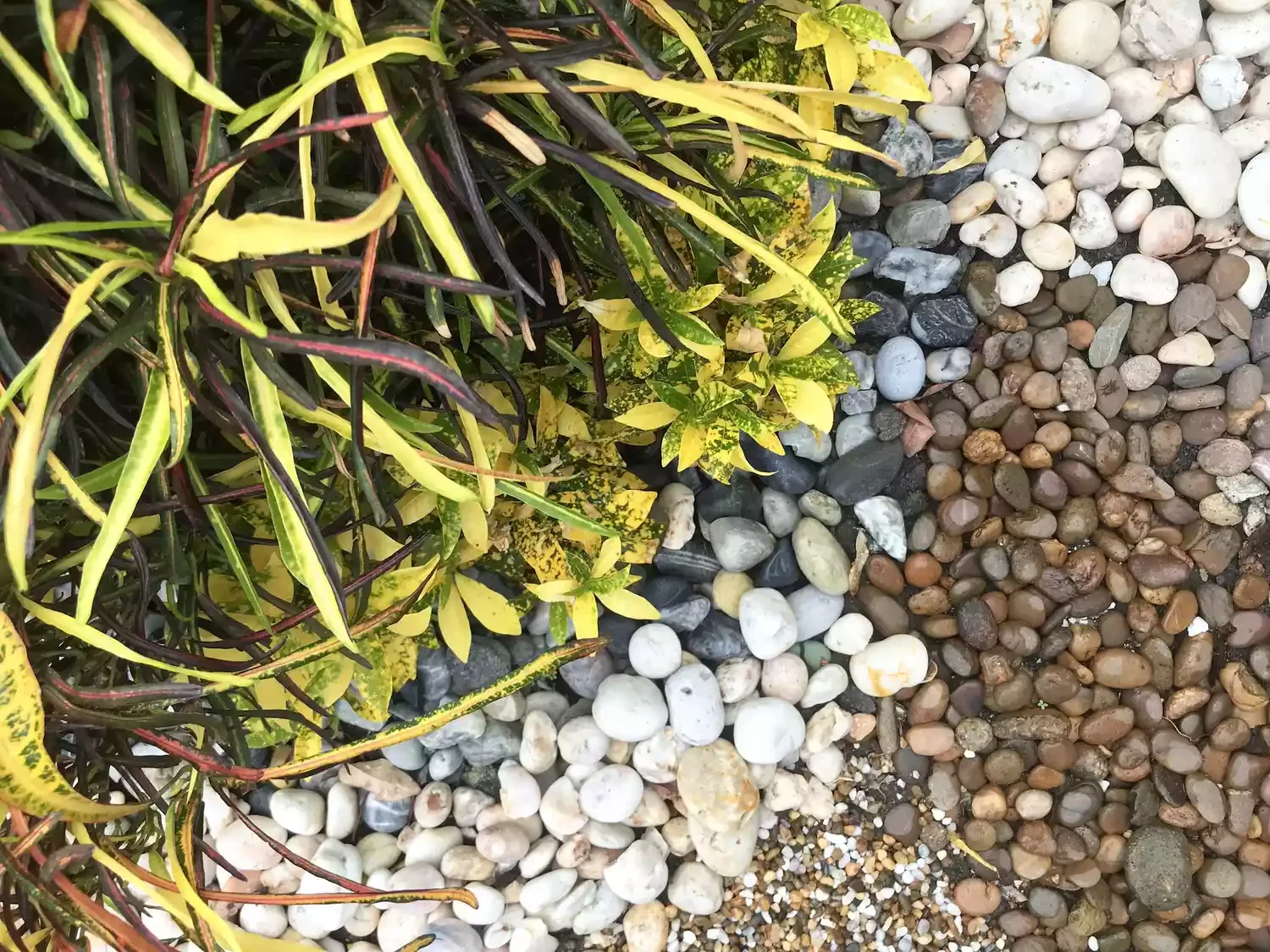 24 Creative River Rock Ideas to Transform Your Outdoor Space Colorful River Rock Garden