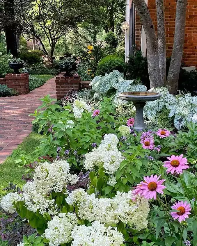 82 Stunning Front Yard Landscaping Ideas to Transform Your Home's Curb Appeal This Spring Colorful Semi-Shade Bed