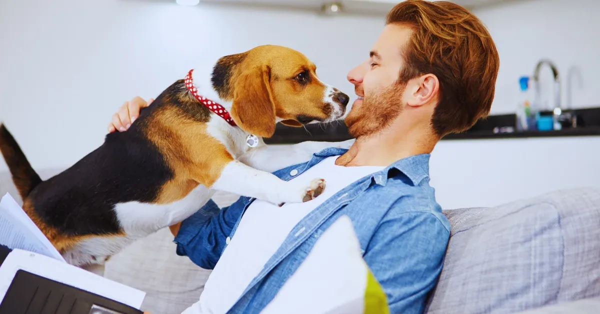 Common Challenges Of Pet Ownership For Tenants