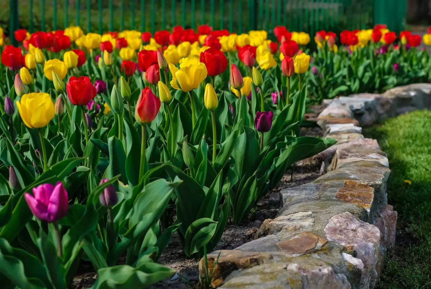 30 Affordable and Creative Ways to Define Your Garden Boundaries Concrete and Stone Edge