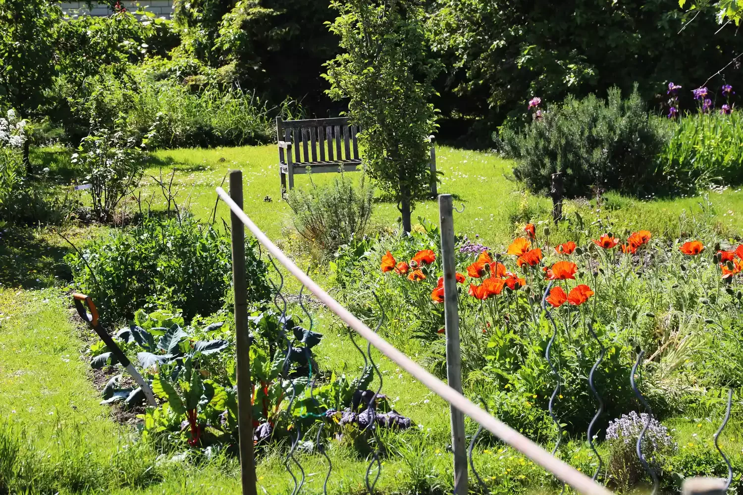 26 Vegetables Garden Ideas That Keep Your Home Stocked with Year-Round Consider Flowers for Color and Biodiversity