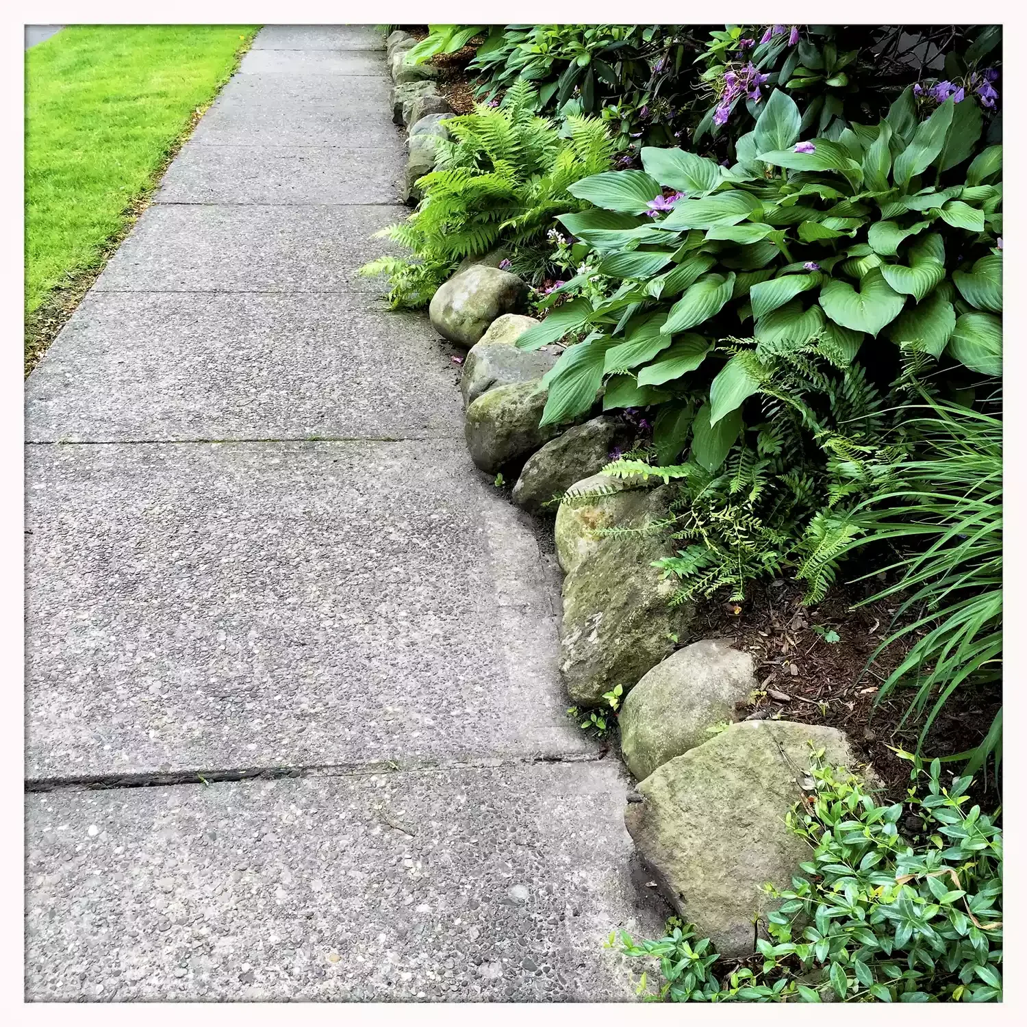 Consider Your Edging
