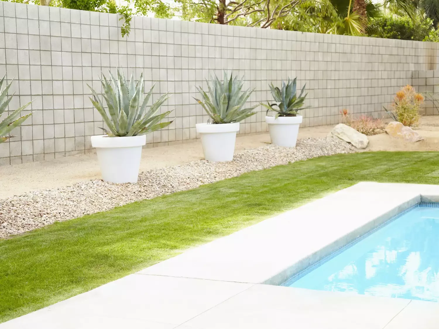 16 Pool Landscaping Ideas That Transform Your Area Container Gardens