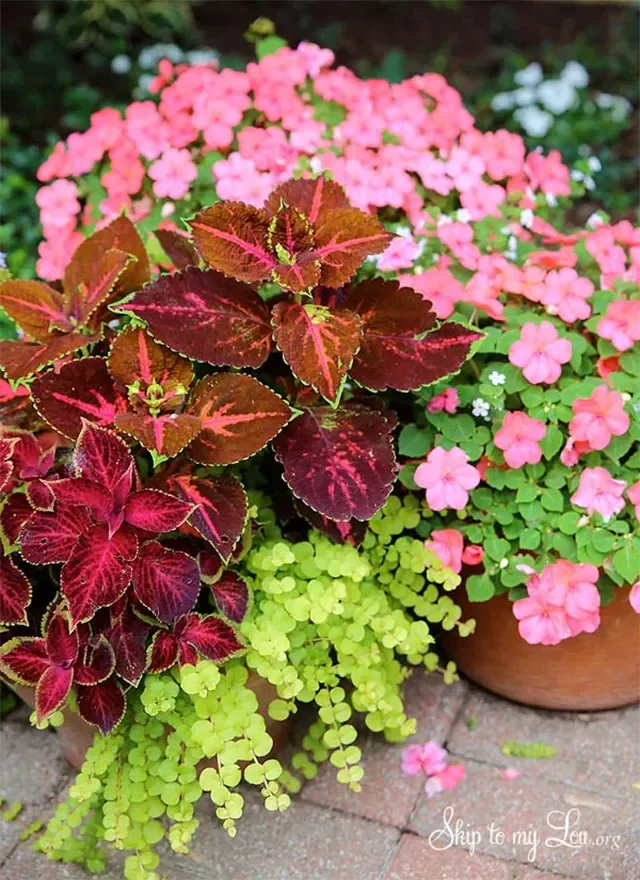 35 Creative DIY Garden Projects to Transform Your Outdoor Space Container Gardens