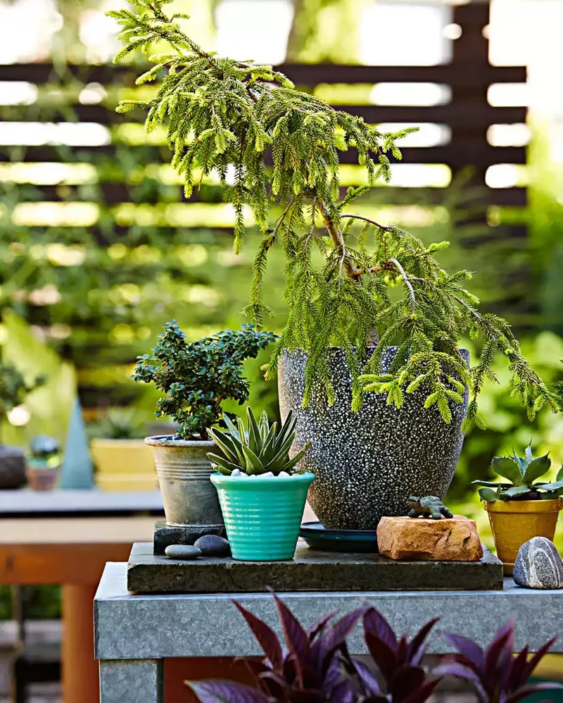 Coordinated Tabletop Display