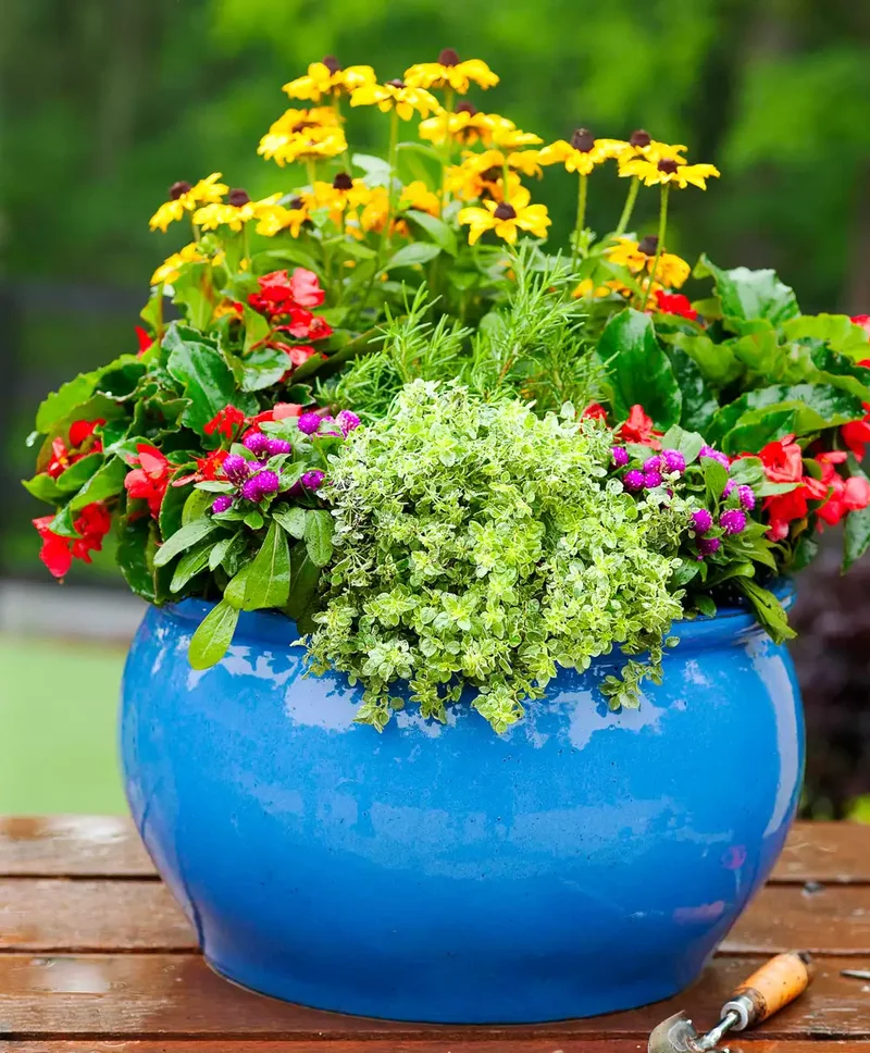 Cottage Garden in a Pot