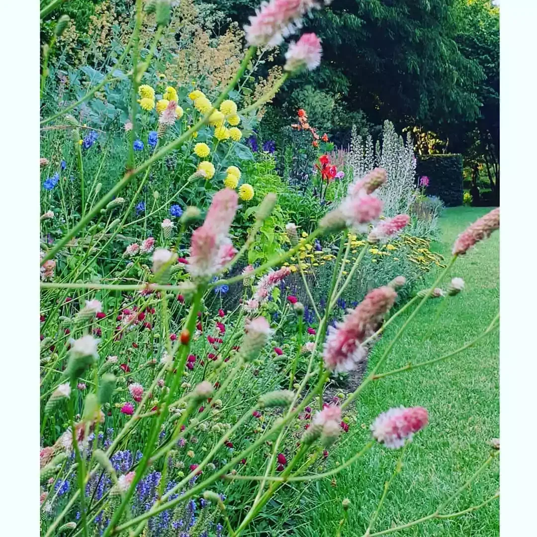12 Water-Smart Landscaping Ideas for Your Home Cottage Gardens