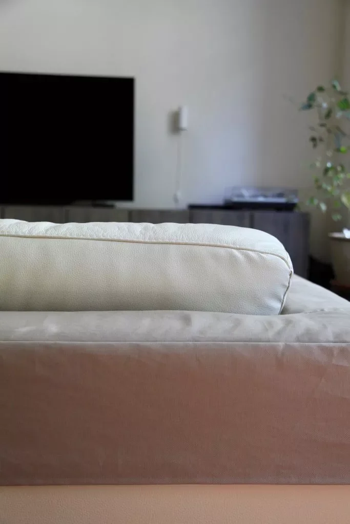 20 Creative DIY Sofa Cover Ideas to Transform Your Living Space 18 Couch Pet Protector DIY