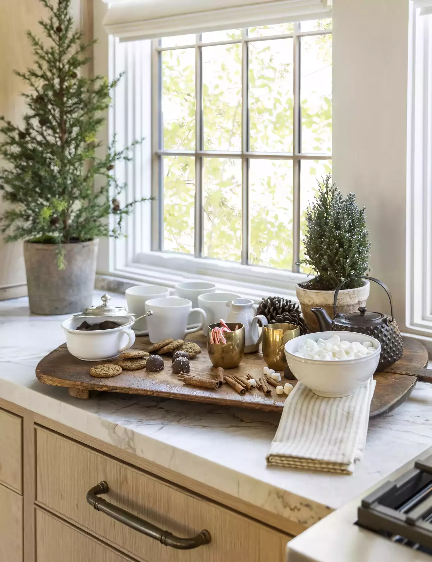 38 Christmas Kitchen Decor Ideas That Create Magic Countertop Mini Trees