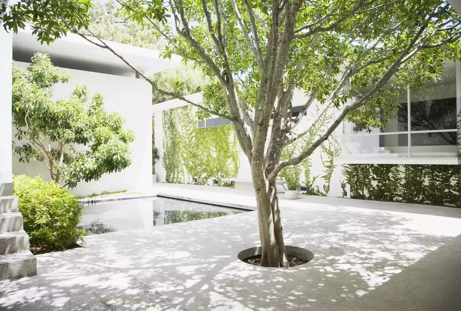 52 Beautiful Courtyard Ideas That Transform Your Outdoor Living Space Courtyard With Plunge Pool