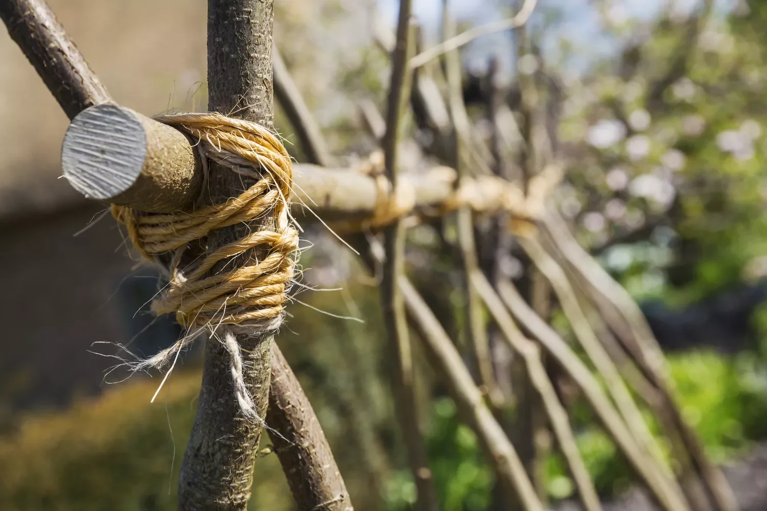 22 Cold-Season Garden Projects That Will Transform Your Outdoor Space This Winter 15 Craft Some Trellises