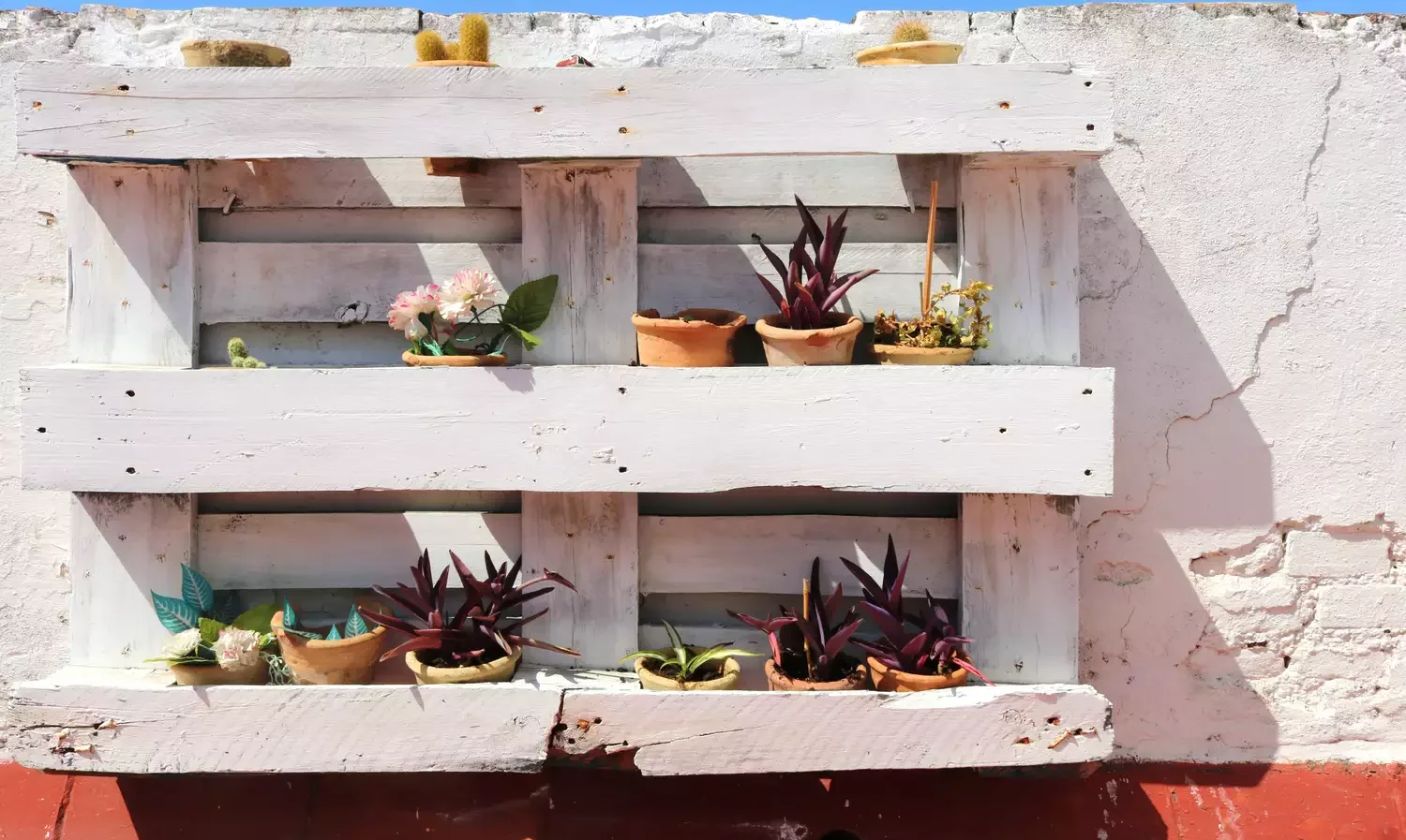 Create Shelves for Succulent Planters