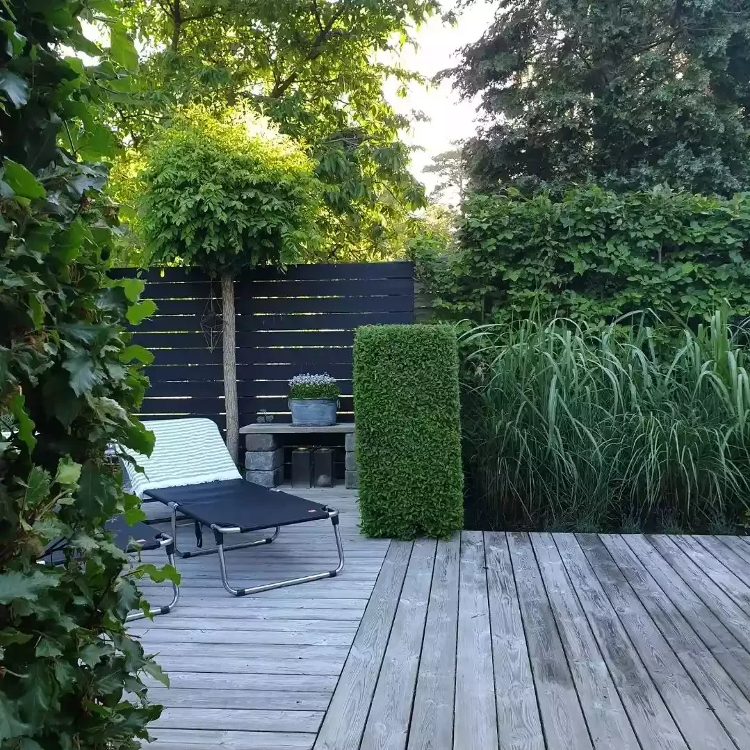 23 Stunning Patio Garden Designs to Transform Your Outdoor Space Create Vertical Green Walls