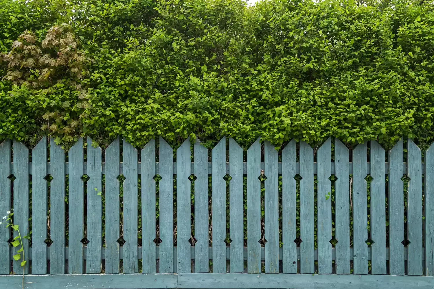 52 Stunning Wooden Fence Designs That Add Rustic Charm to Your Outdoor Space Create a Colorful Wood Fence