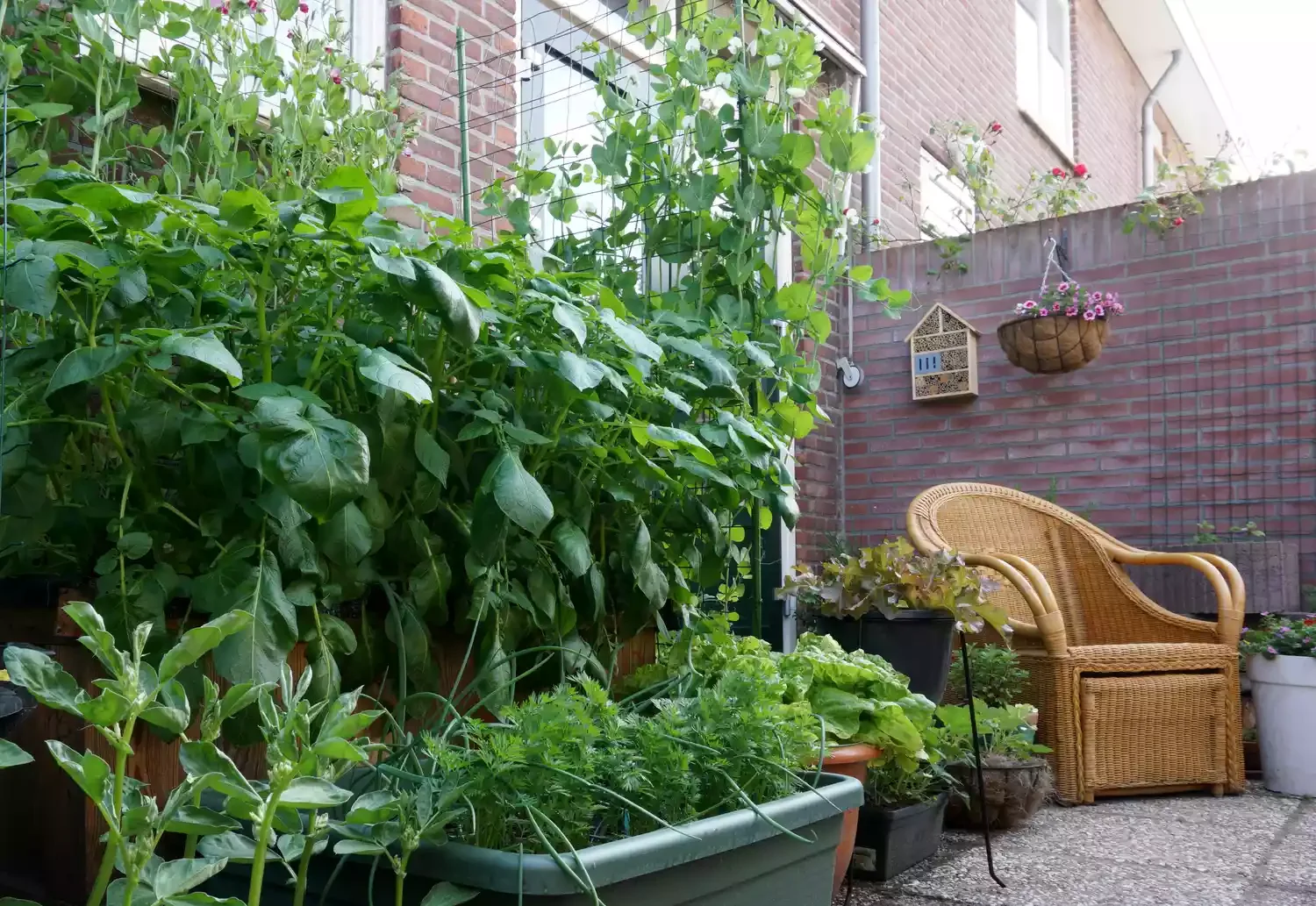 26 Vegetables Garden Ideas That Keep Your Home Stocked with Year-Round Create a Compact Vertical Garden