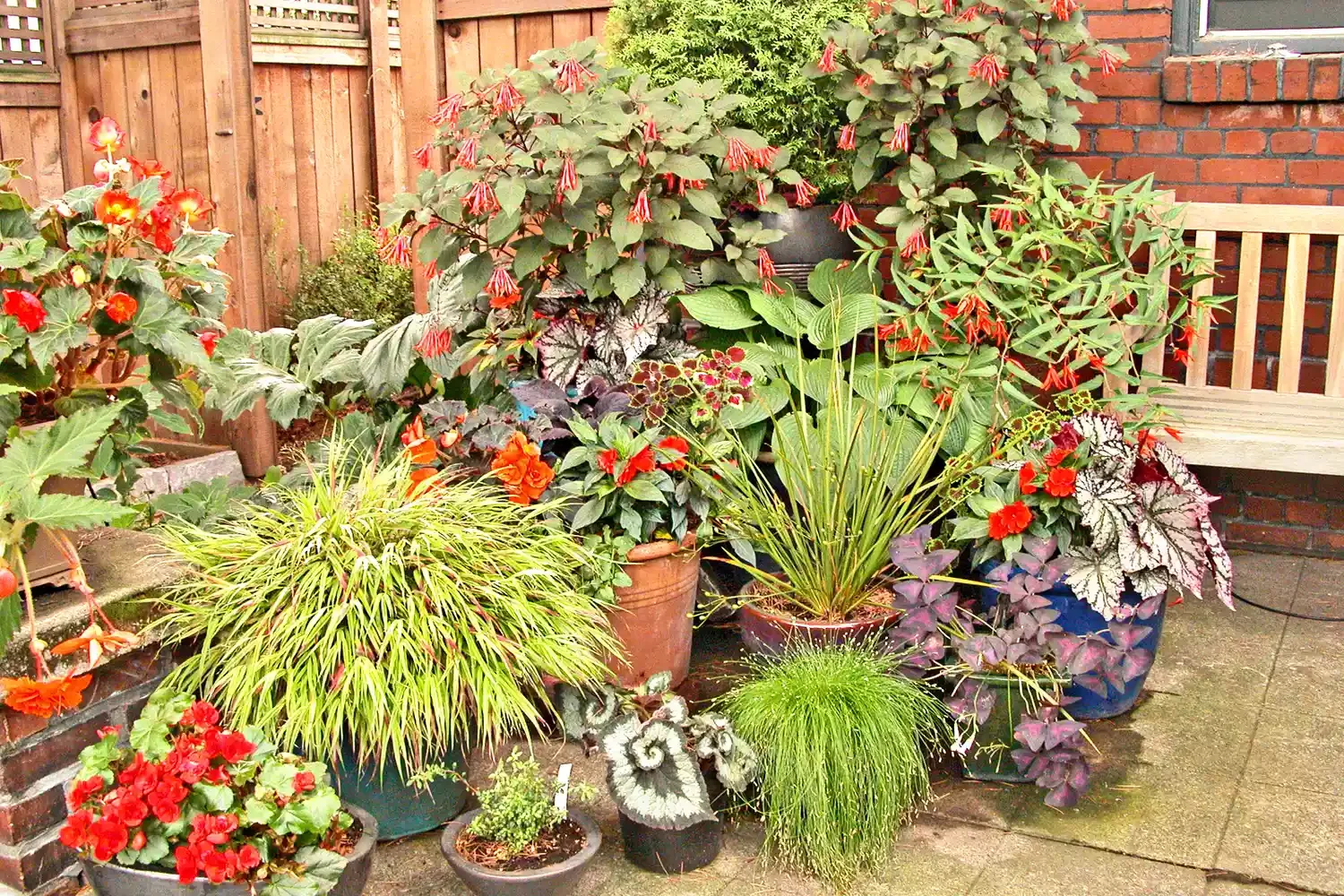 Create a Container Garden