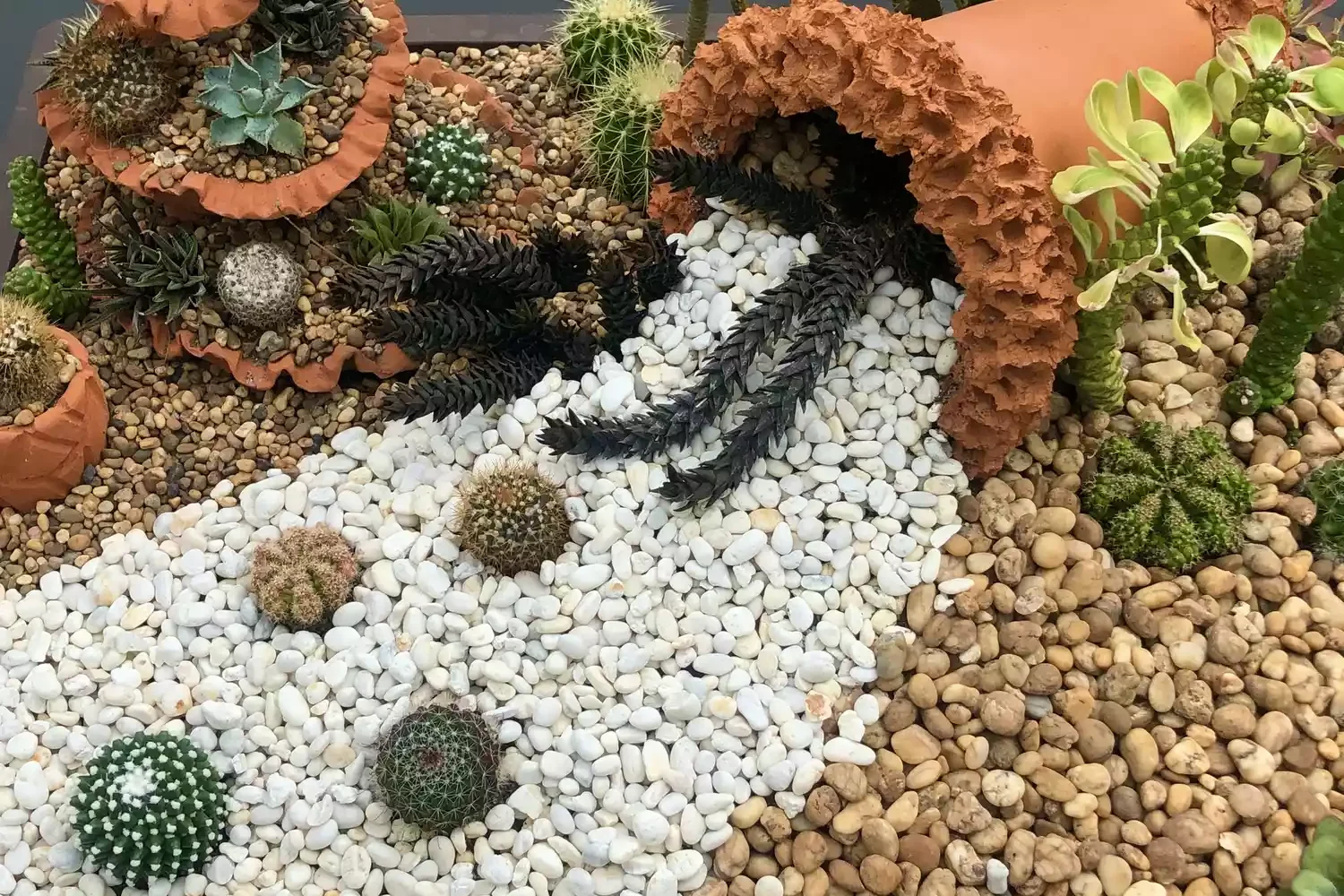43 Budget-Friendly Backyard Makeover Ideas That Look Expensive 27 Create a Contrasting Rock Garden