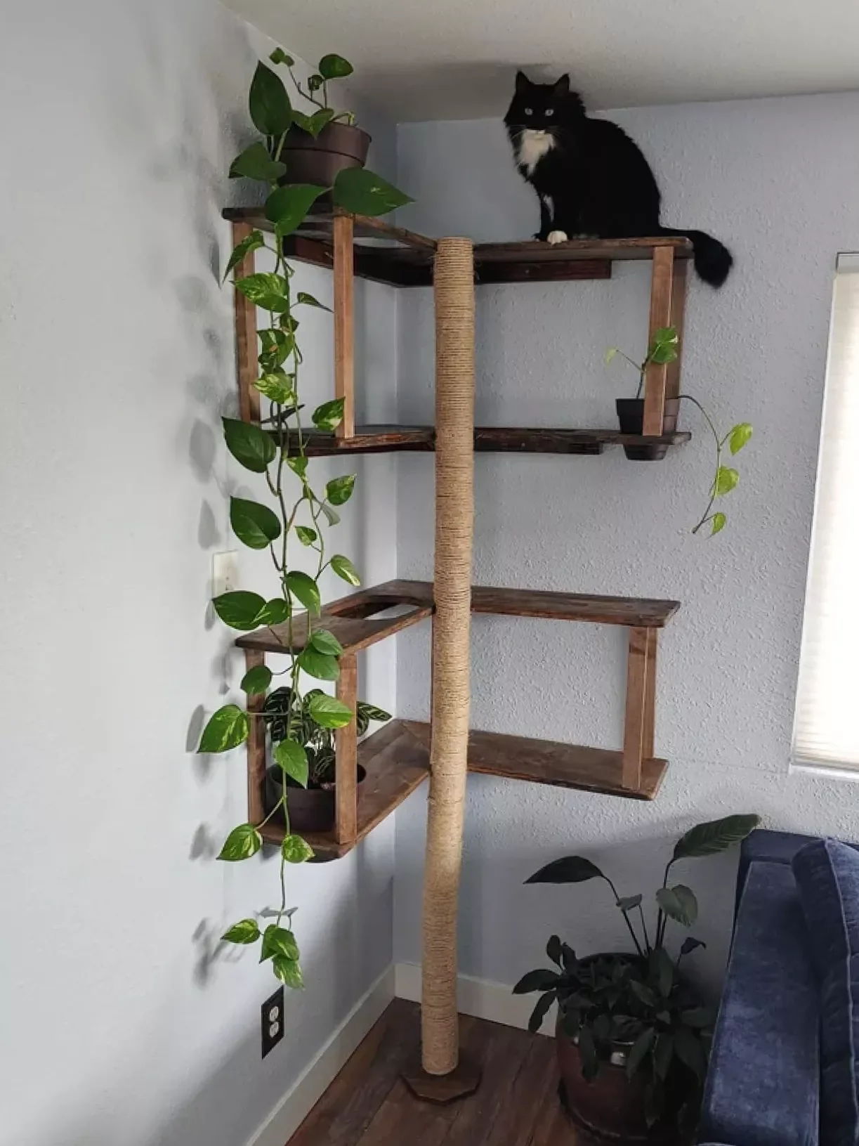 25 Stylish Cat Room Ideas That'll Transform Your Home Into a Feline Paradise 2 Create a Corner Retreat