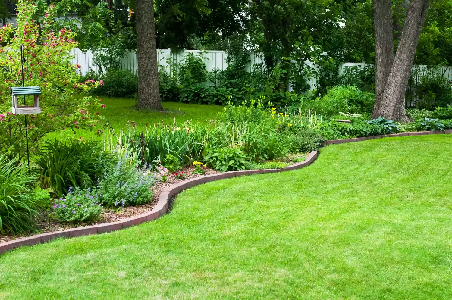 Create a Curving Flower Bed Border