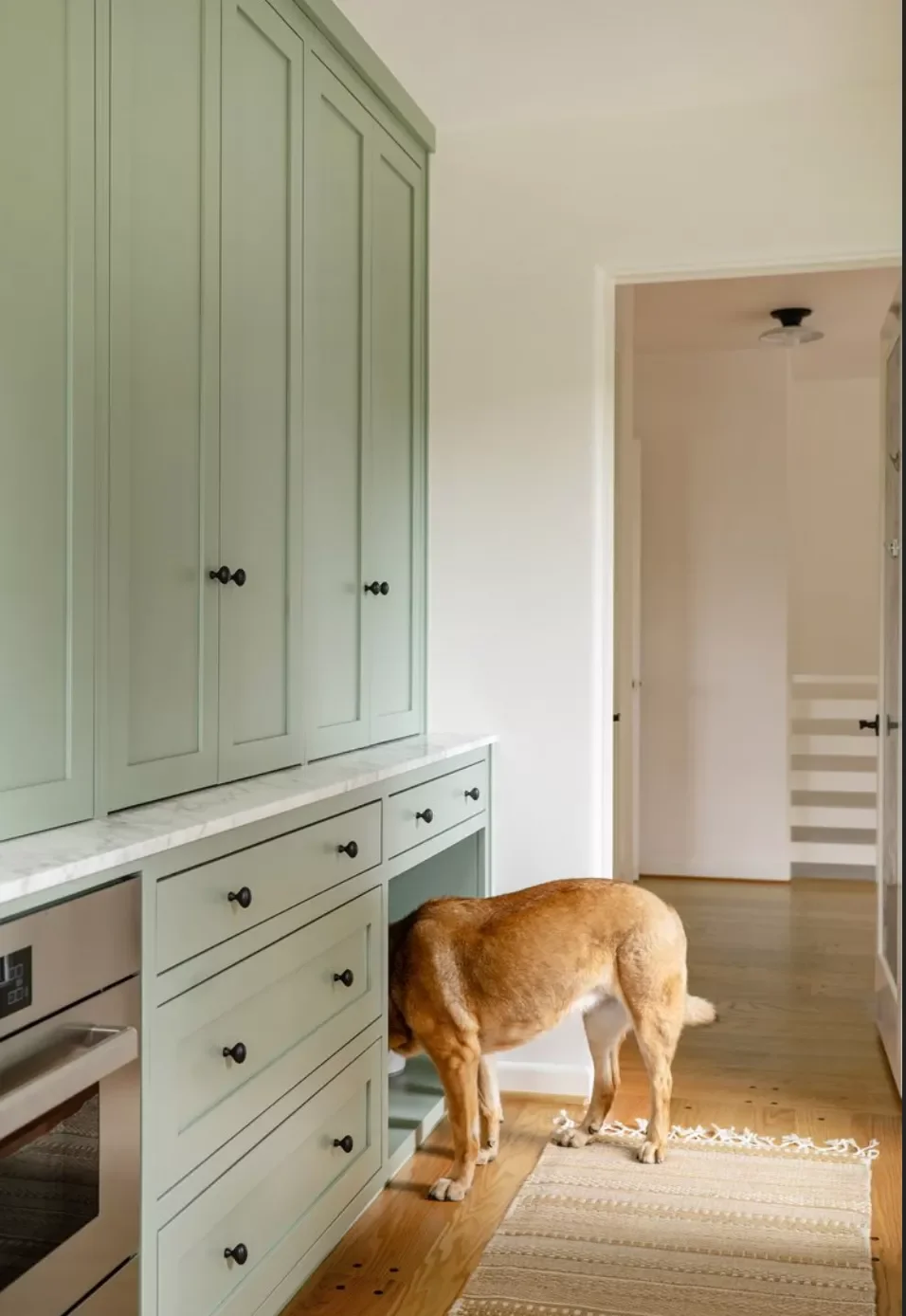 43 Butler's Pantry Ideas That Transform Your Kitchen Storage Into Stylish Function Create a Dog Station