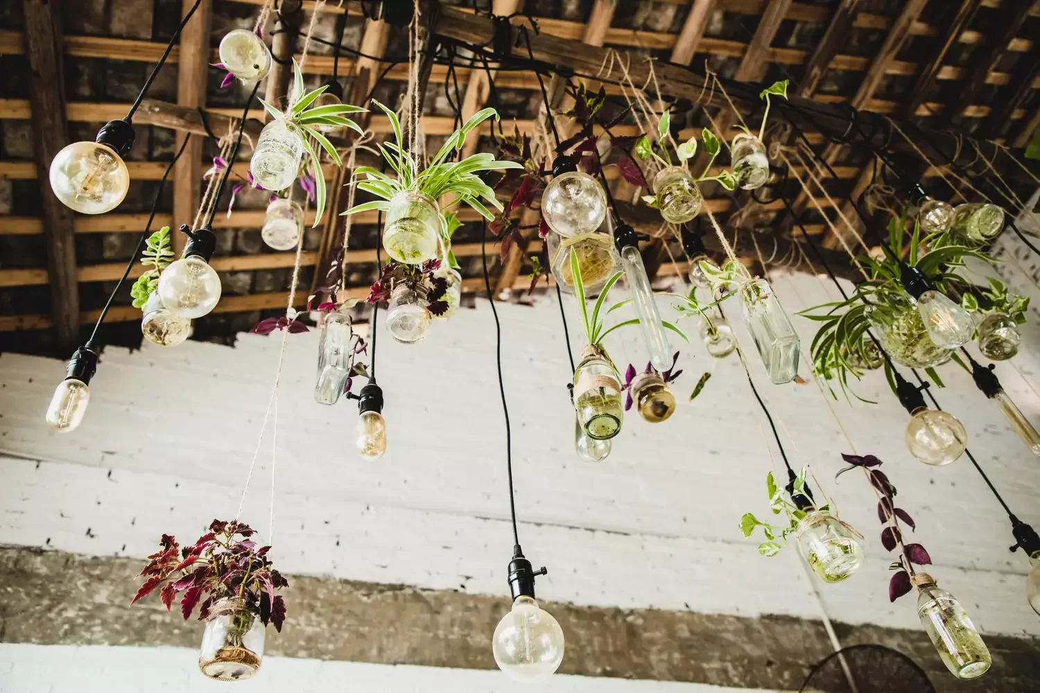 Create a Hanging Propagation Station