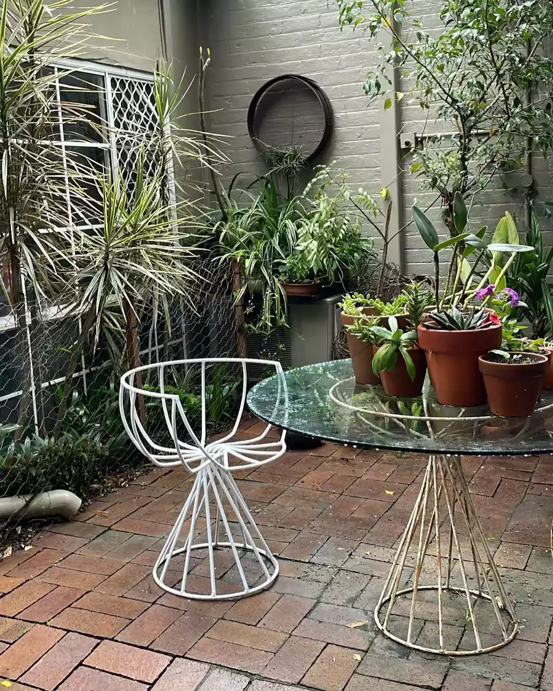 Create a Jungle in a Small Space