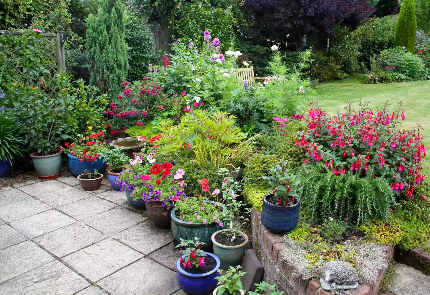 Create a Plant Border