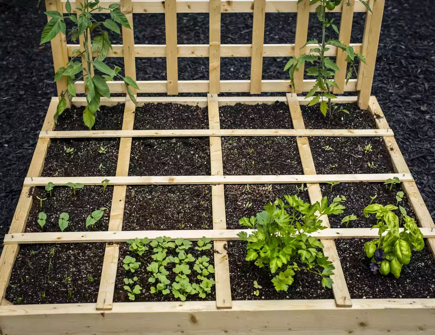 26 Vegetables Garden Ideas That Keep Your Home Stocked with Year-Round Create a Simple Square Foot Garden