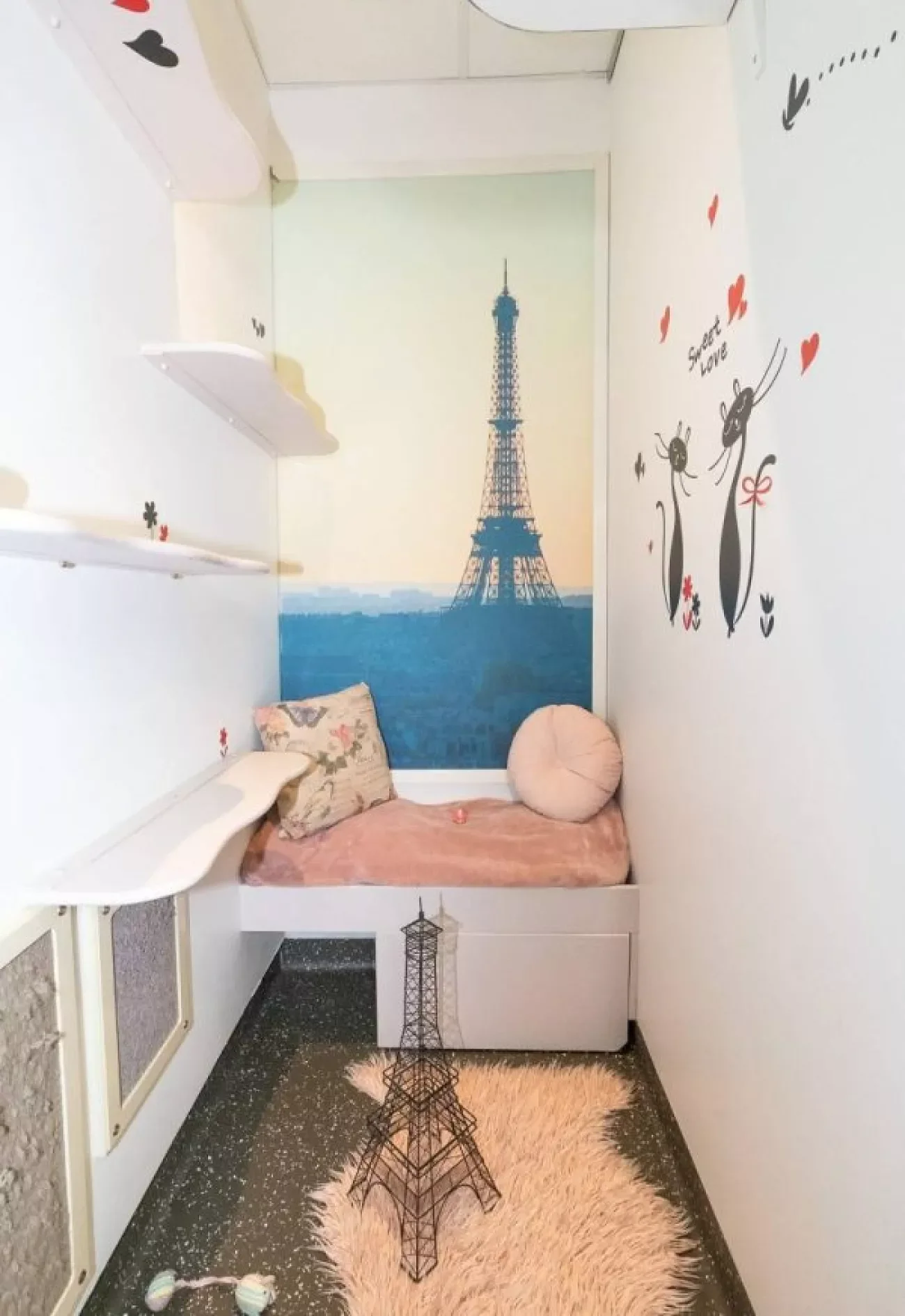 25 Stylish Cat Room Ideas That'll Transform Your Home Into a Feline Paradise 8 Create a Themed Room