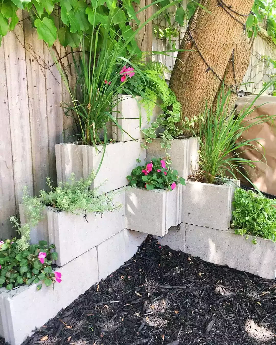15 Budget-Friendly Cinder Block Garden Projects to Transform Your Outdoor Space 8 Create a Tiered Cinder Block Garden