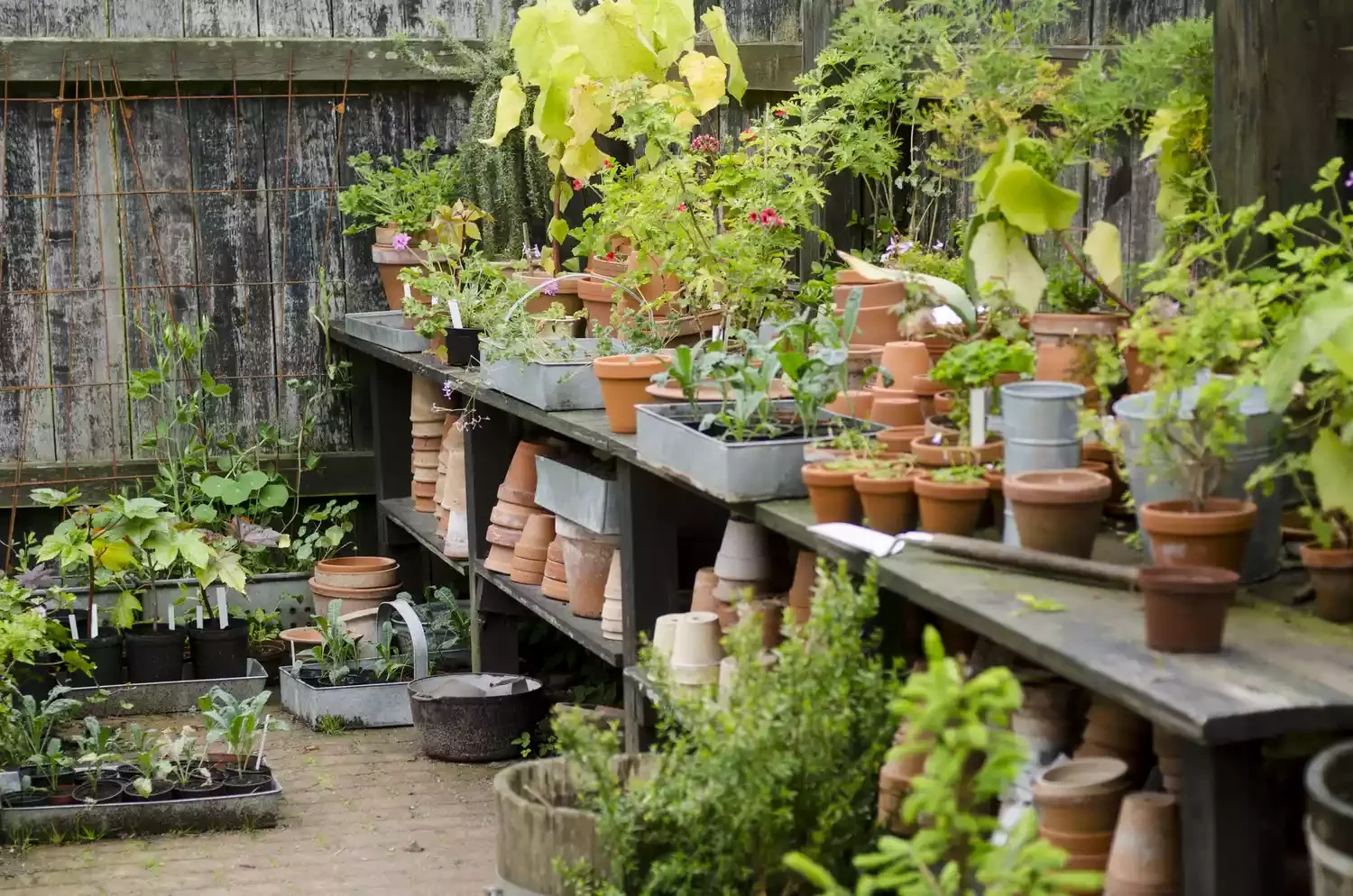 26 Vegetables Garden Ideas That Keep Your Home Stocked with Year-Round Create a Workspace With Storage