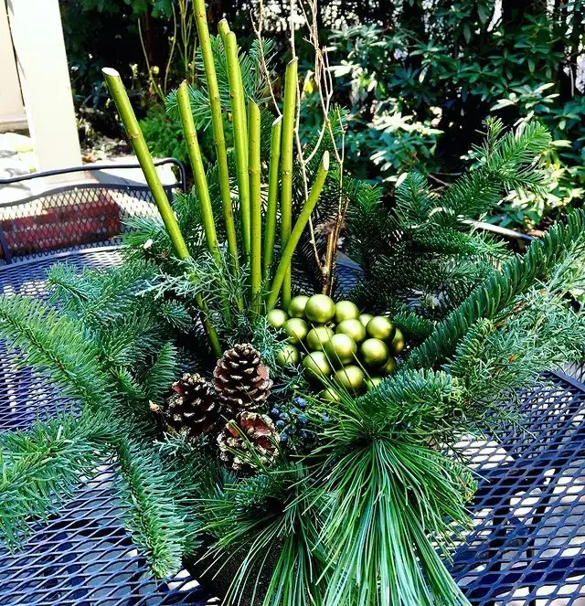 13 Stunning Winter Window Box Designs That'll Transform Your Home's Curb Appeal 9 Creative Color Palettes