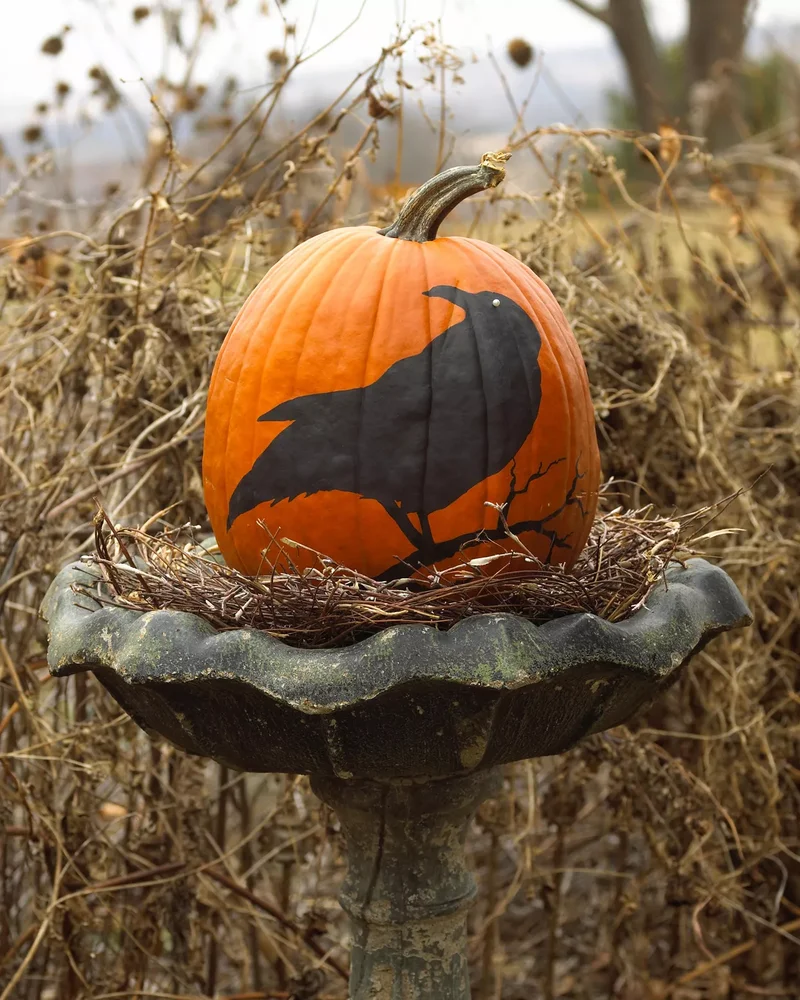 46 Creative Pumpkin Painting Ideas for Fall Home Decor 16 Creepy Crow Pumpkin