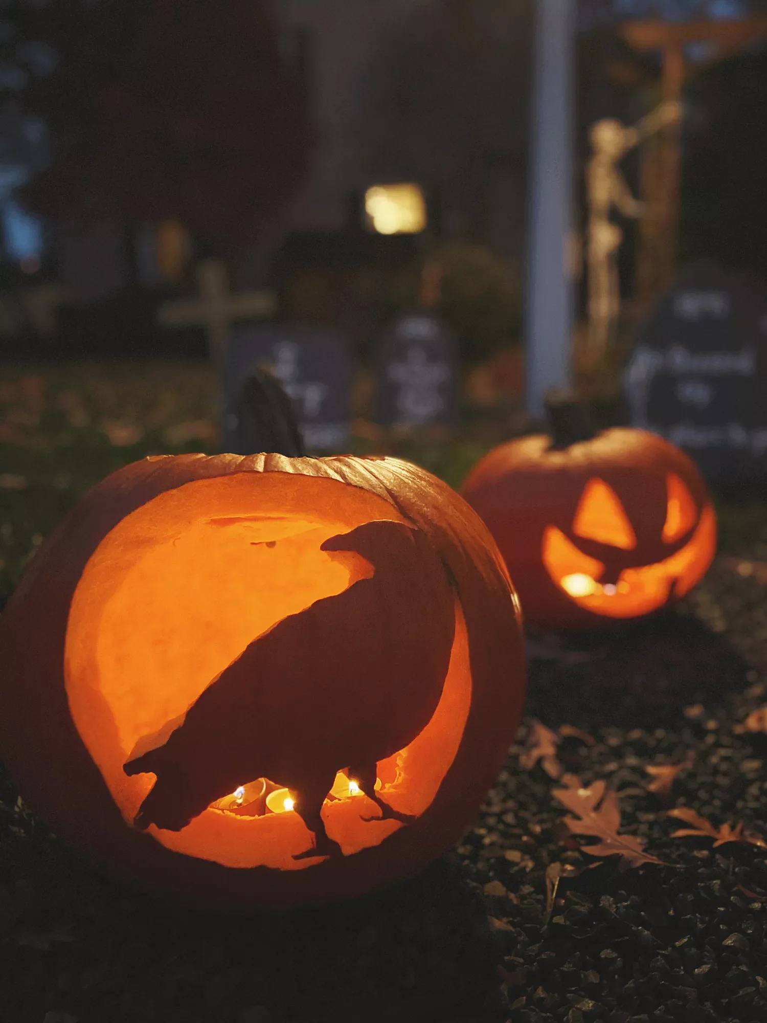77 Creative Pumpkin Carving Ideas That'll Transform Your Fall Decorating Game 77 Crow Pumpkin
