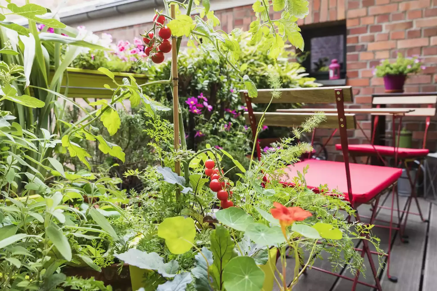 26 Vegetables Garden Ideas That Keep Your Home Stocked with Year-Round Curate a Cute Balcony Garden